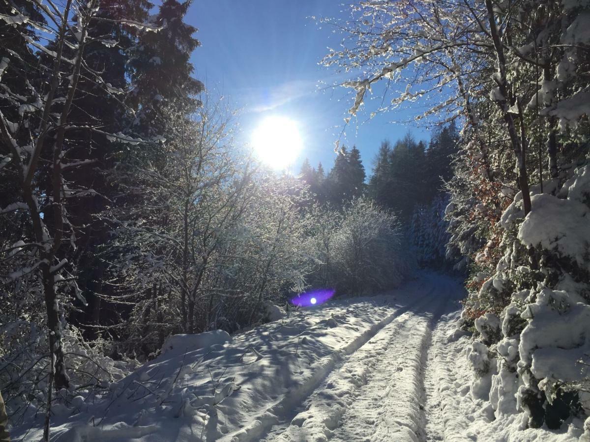 Ferienwohnung "Am Kreuzfelsen" เบสต์วิก ภายนอก รูปภาพ