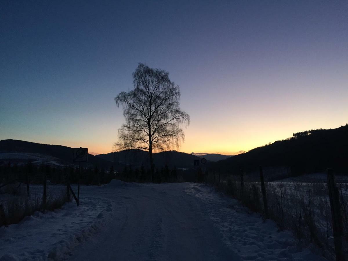 Ferienwohnung "Am Kreuzfelsen" เบสต์วิก ภายนอก รูปภาพ